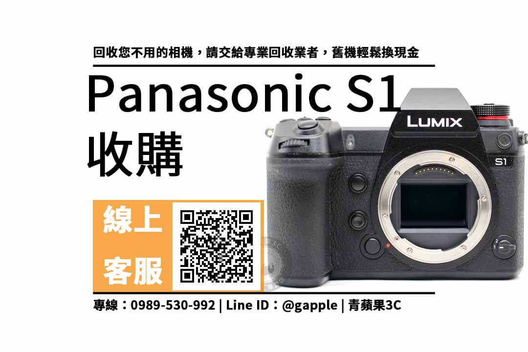 Panasonic S1